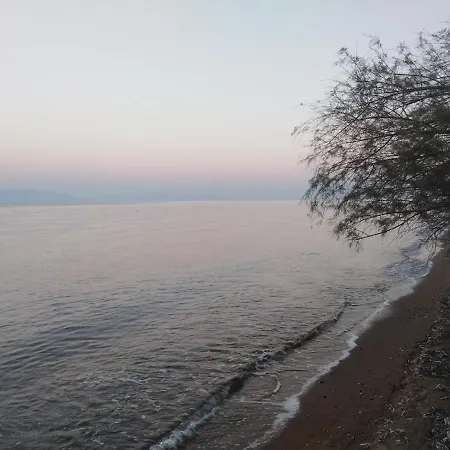 Golden Sea Kalamata